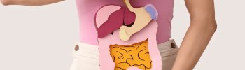 Osteopatía visceral: ¿Cómo mejora la salud digestiva y el bienestar general?
