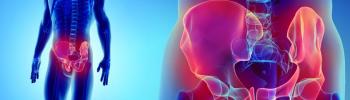 Biomecánica de la Pubalgia: Entendiendo el Rol de la Musculatura Abdominal - FisioClinics Palma