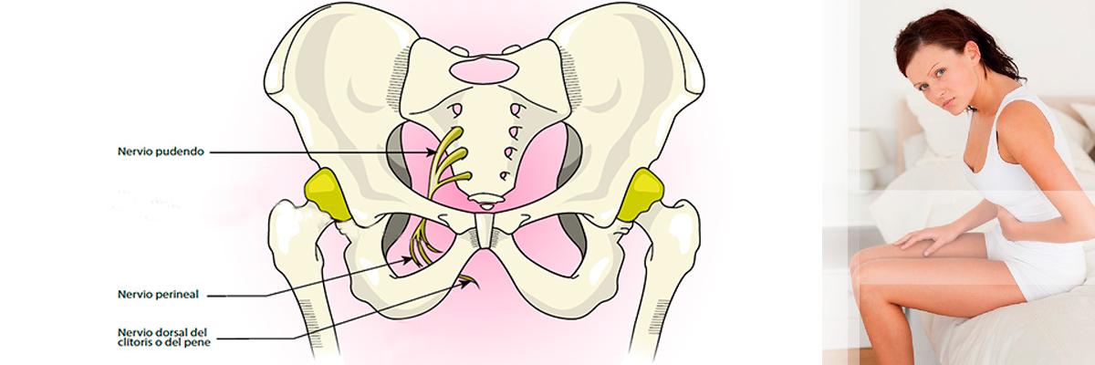 nervio pudendo, embarazo y parto