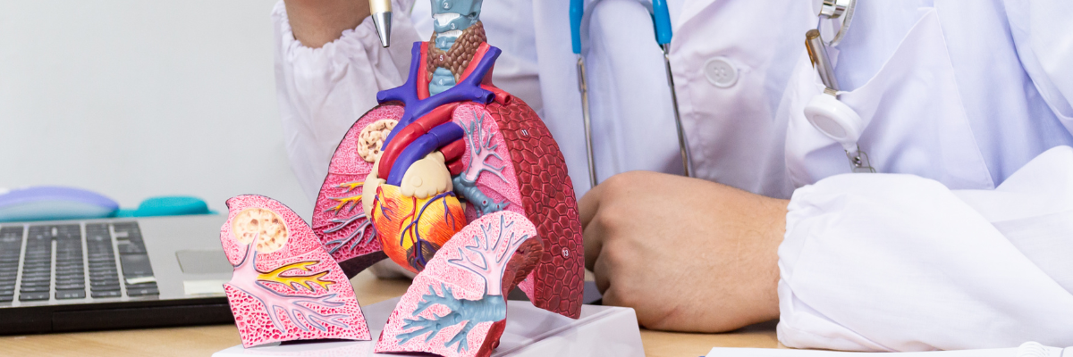 Fisioterapia respiratoria: tratamientos para enfermedades pulmonares