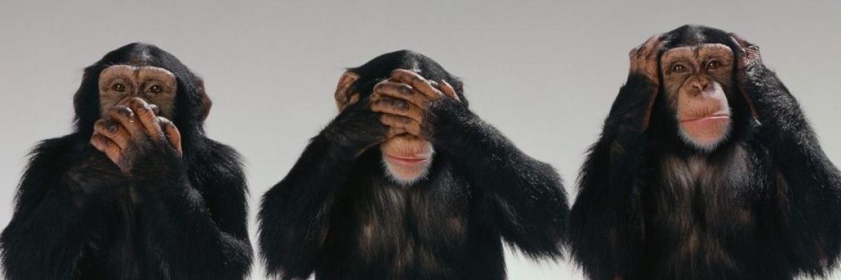 De como nace un paradigma